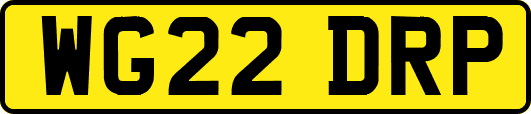WG22DRP