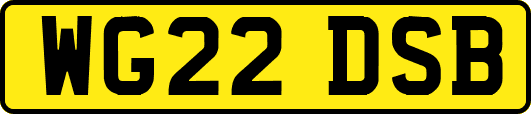 WG22DSB