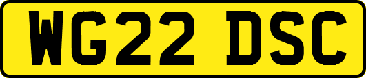 WG22DSC