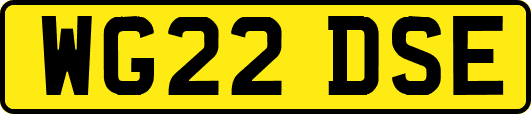 WG22DSE