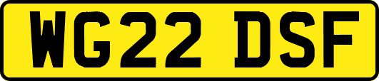 WG22DSF