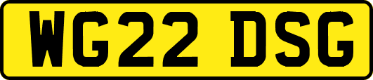 WG22DSG