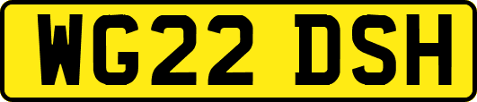WG22DSH