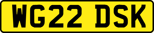 WG22DSK