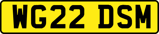 WG22DSM
