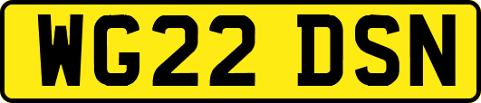 WG22DSN