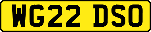 WG22DSO