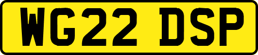 WG22DSP