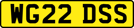 WG22DSS