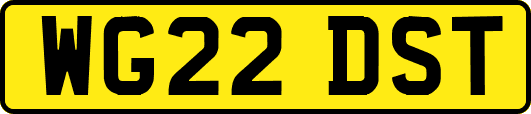 WG22DST