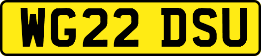 WG22DSU