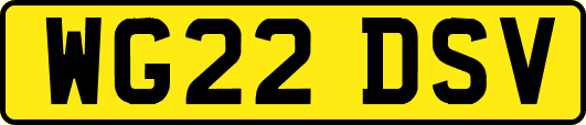 WG22DSV