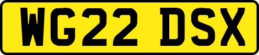 WG22DSX