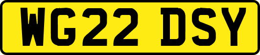 WG22DSY