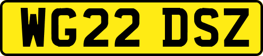 WG22DSZ