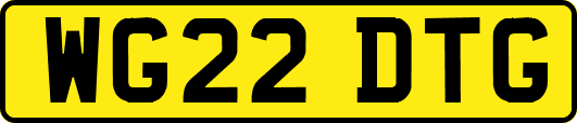 WG22DTG