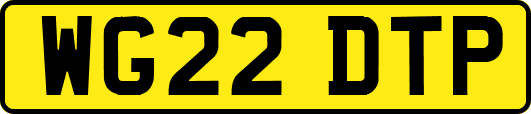 WG22DTP