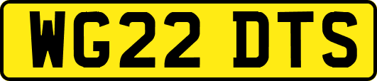 WG22DTS