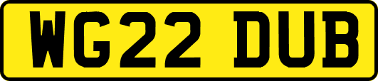 WG22DUB
