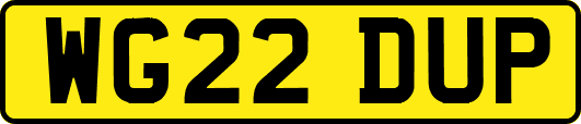 WG22DUP