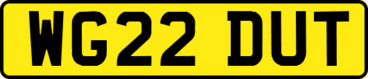 WG22DUT