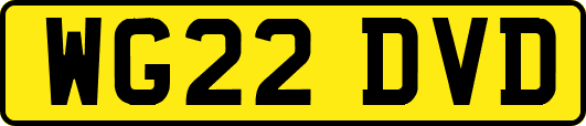 WG22DVD