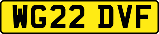 WG22DVF