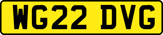 WG22DVG