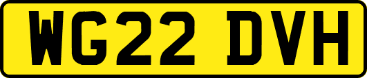 WG22DVH