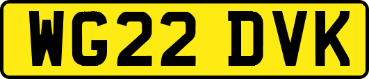 WG22DVK