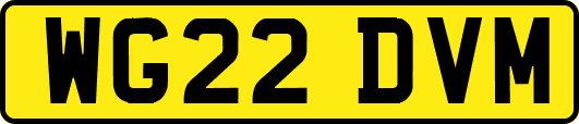 WG22DVM