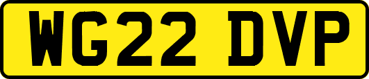 WG22DVP
