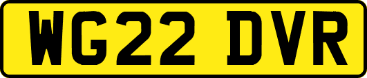 WG22DVR