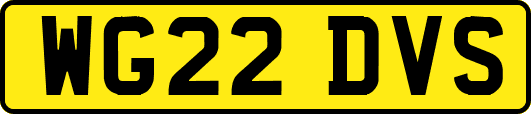 WG22DVS