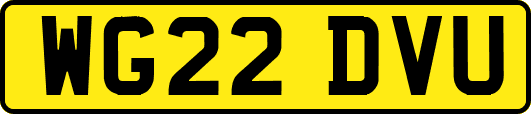 WG22DVU