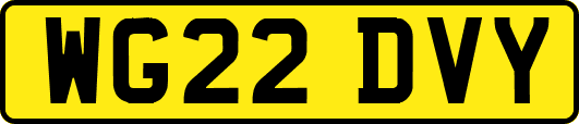 WG22DVY