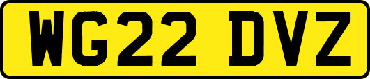 WG22DVZ