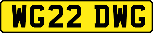 WG22DWG