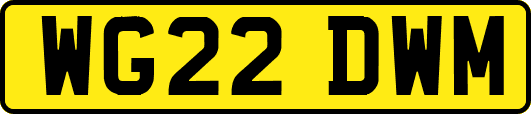 WG22DWM