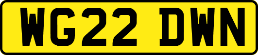WG22DWN