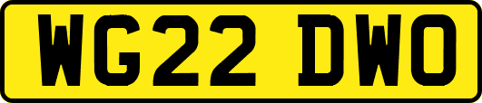 WG22DWO