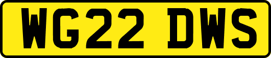 WG22DWS
