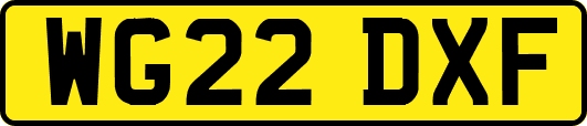 WG22DXF