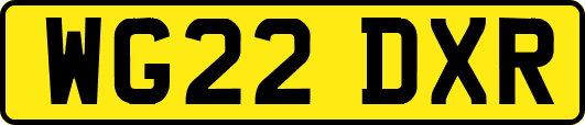 WG22DXR