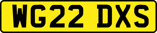 WG22DXS