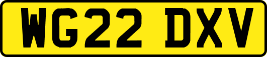 WG22DXV