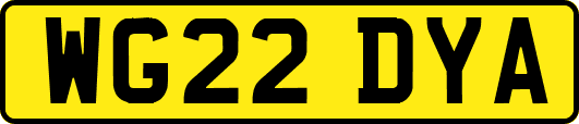 WG22DYA