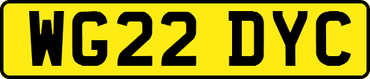 WG22DYC