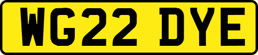 WG22DYE