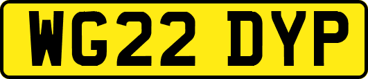 WG22DYP